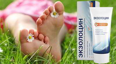 ekzolocin-ot-gribka
