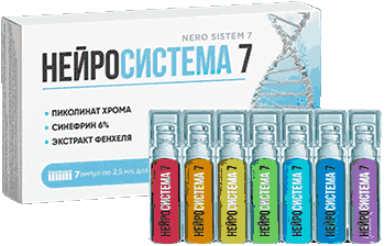 Состав нейросистемы 7