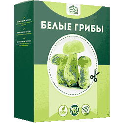 Домашняя грибница белые грибы