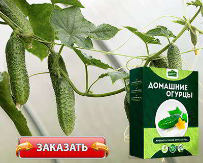 Купить огурцы домашняя мини ферма
