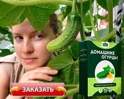 Мини ферма огурцы купить