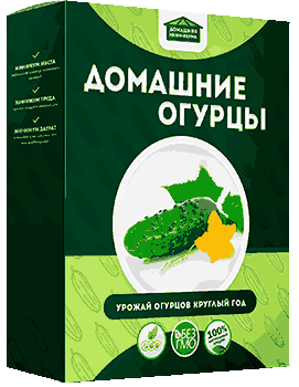 Мини ферма огурцы