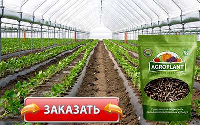 Удобрение Агроплант купить