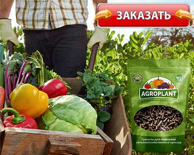 Заказать Агроплант на официальном сайте