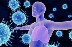Antiparasitus пробуждает внутренние резервы на борьбу с инфекцией.
