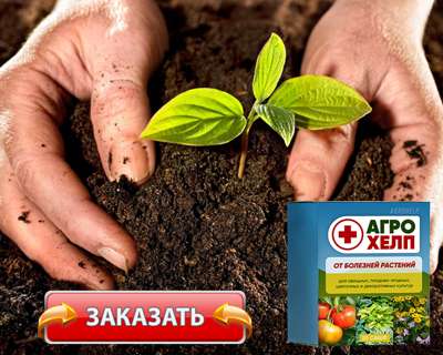 Средство Агрохелп купить по доступной цене.